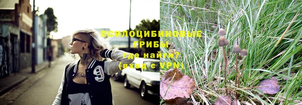 ALPHA PVP Мегион