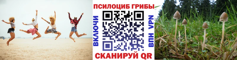 Псилоцибиновые грибы Magic Shrooms  Ленинградская 