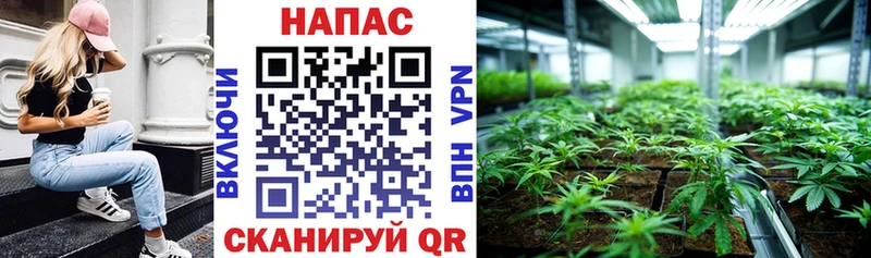 где можно купить наркотик  mega ссылка  Бошки марихуана OG Kush  Ленинградская 